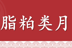 油脂粕类11月报：油脂跌跌不休，粕类震荡反弹